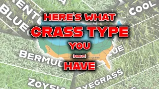 Stop! Identify your GRASS TYPE with these 3 SIMPLE steps! Your lawn care journey must begin here!