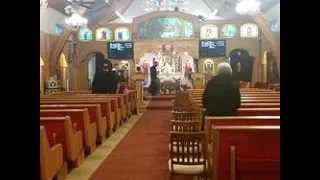 Sunday Divine Liturgy - 11/20/2016