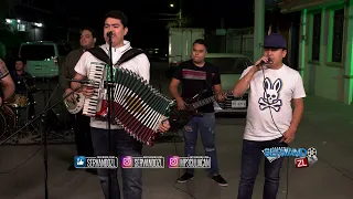 Los Zares De Culiacan Ft. Canelos Jrs - El 27 o El Perris (En Vivo 2023)