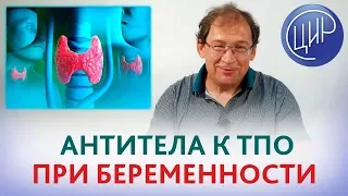 Антитела к тиреопероксидазе. Что делать, если повышены антитела к тиреопероксидазе при беременности.