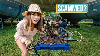 We were SCAMMED! (lessons on anchor chain)