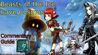 Beasts of the Ice Cave Cosmos Commentary Guide (Sephiroth, Lilisette, Kuja) [DFFOO]