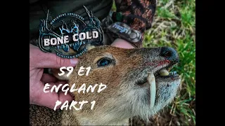 Season 9 Episode 1. Chinese Water Deer, Muntjac, Soay Sheep in England