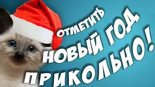 С Новым годом! Отметить новый год прикольно!