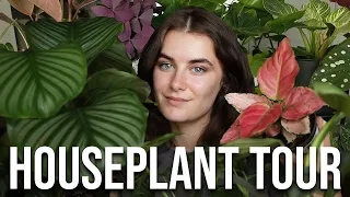 Houseplant Tour 2023 | 100+ Rare & Common Indoor Plant Collection