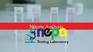 NEPA Virtual Lab - Nitrate Analysis
