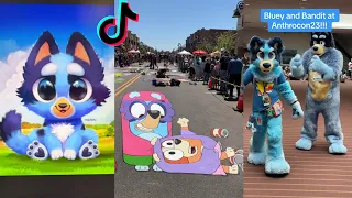 Bluey TikToks Compilation 2023 #14