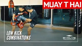 Muay Thai Training Series: Muay Mat | Low Kick Combination