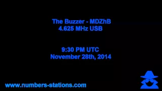 The Buzzer - MDZhB