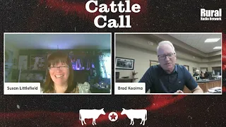 Marketing trying to wrap head around latest bird flu chatter | 5/1/24 Cattle Call