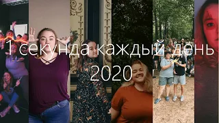 1 секунда каждый день 2020 год | Sveta Pribytkova