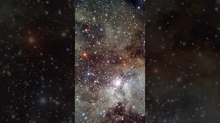 Stellar nursery NGC 3603* #shorts