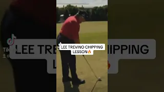 LEE TREVINO CHIPPING TIPS🔥 #foryou #golf #tigerwoods #golfing