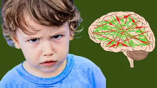 How Are Autistic Children? - All Signs of Autism
