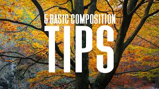 5 Basic Composition Tips for Beginner Landscape Photography