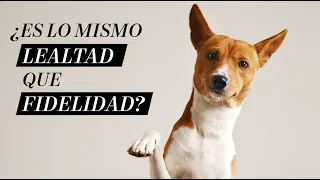 ¿Lealtad es lo mismo que fidelidad? | Martha Debayle