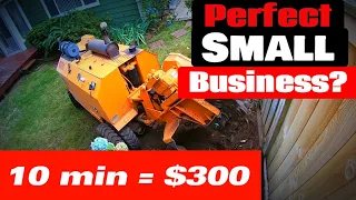 EASY $300 In 10 Minutes. Great  Business!