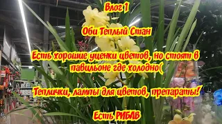 Влог 1. Орхидеи в Оби Теплый Стан. Нашла 1 красивый Пелорик и 1 Фаленопсис с прикольной мутацией!