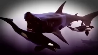 10 Megalodon Caught on Camera and Spotted In Real Life 2018