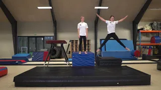 DGI Gymnastik - Landingstræning - Gymnastikmøllen