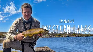 Fly fishing at Tasmania's Western Lakes