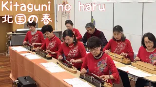 Kitaguni no haru (北国の春), Taishogoto (大正琴) by Hummingbird (ハミングバード)