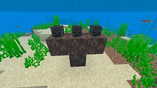 what If you create an wither in water