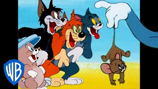Tom y Jerry en Latino | ¡Qué gatástrofe! | WB Kids