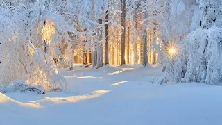 Вивальди зима на баяне.1 год обучения