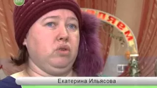 Выставка породистых кошек