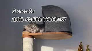 3 способа ДАТЬ КОШКЕ ТАБЛЕТКУ