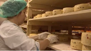 У Росії набув чинності закон про знищення санкційних продуктів