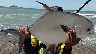 PESCARIA DE PAMPO GIGANTE OU SARNAMBIGUARA OU SAMANDUARA NO OURIÇO É FISGADA NA CERTA GUARAPARI_ES