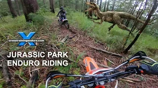 Jurassic Park dirt riding!︱Cross Training Enduro shorty