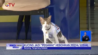 Heboh! Kucing Diangkat Jadi "Pegawai" di Kantor Pajak Serpong #BuletiniNewsSiang 29/11