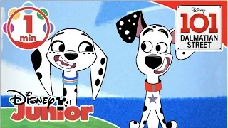 101 Dalmatian Street | Sing Along - Theme Song! | Disney Kids