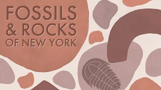 Fossils & Rocks of Central New York | Learn about the Region's Geologic History | Kopernik FNL