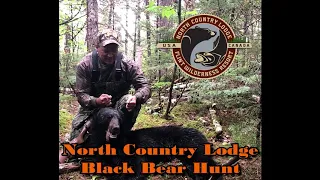 North Country Lodge Black Bear Hunt 2019