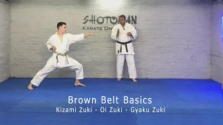 2nd Kyu Syllabus Kizami Zuki Oi Zuki Gyaku Zuki Brown Belt Basics