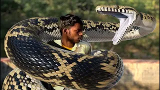 Anaconda Snake Attack In Real Life 7