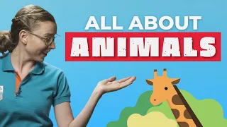 All about animals: Spanish Vocabulary for Elementary Kids | Spanish Lessons