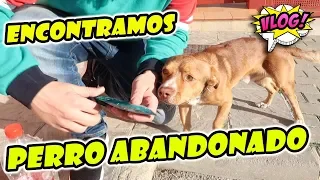 Encontramos un PERRO ABANDONADO !! Rescatamos a un PERRO PERDIDO