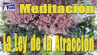 Meditación. La Ley de la Atracción.