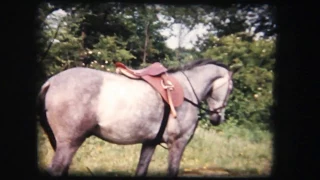 Horses Ride 1950´s - 8mm Amateur Footage