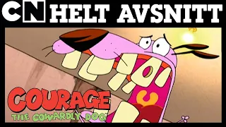 Kurage den hariga hunden | Natt på Katz Motell - HELT AVSNITT | 🇸🇪 Svenska Cartoon Network