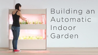 Setting Up an Automatic Indoor Garden | Customizing a Click and Grow system