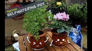 【Let's Garden Together】#015 l Testing my new Self Watering Pot from MoMA Design Store