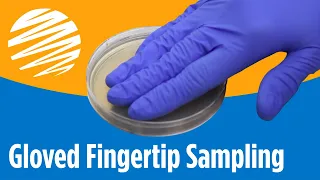 Gloved Fingertip Sampling Using Agar Plates