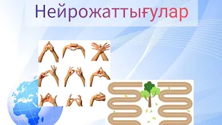 Нейрогимнасика. Әдіс-тәсіл. Сабақтағы сергіту сәті "Нейрожаттығулар"