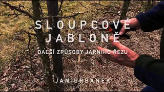 Sloupcové jabloně - další způsoby řezu